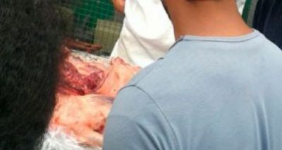 Homem é preso acusado de vender carne de cachorro em Vitória da Conquista