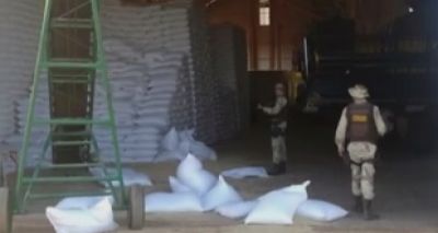 Homens invadem fazenda e roubam mil sacas de feijão na Bahia