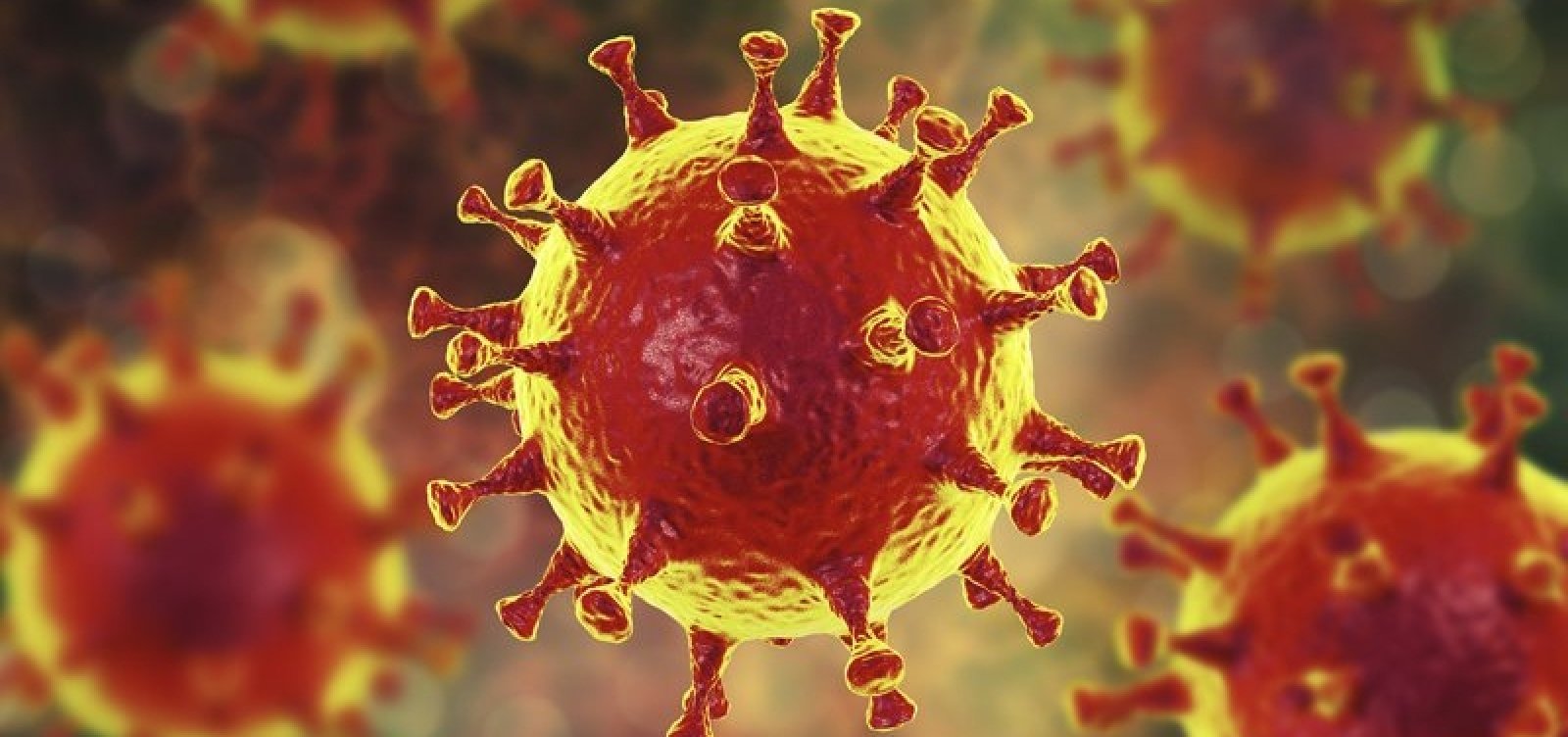 [O novo normal trouxe novas cepas do v&iacute;rus, t&aacute; devendo a nova humanidade]