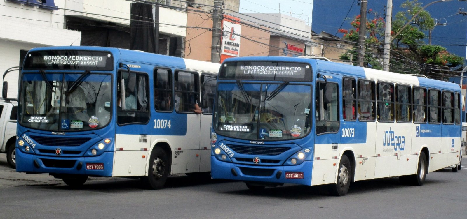 Prefeitura de Salvador rebate Integra e nega desequilíbrio no sistema de  ônibus - Metro 1