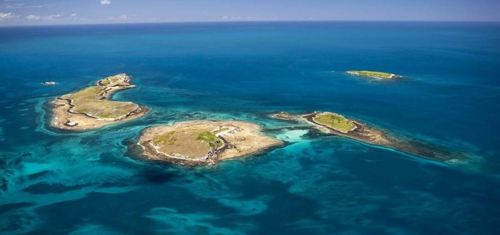 Resultado de imagem para abrolhos