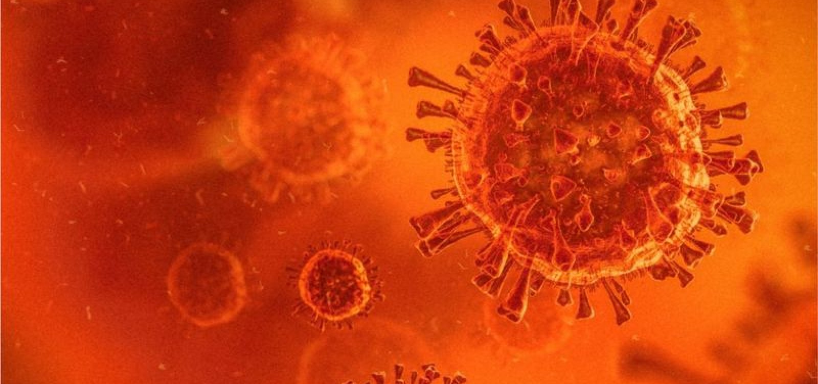 [Estudo europeu indica que 86% dos infectados com casos leves de Covid-19 perdem o olfato e o paladar]