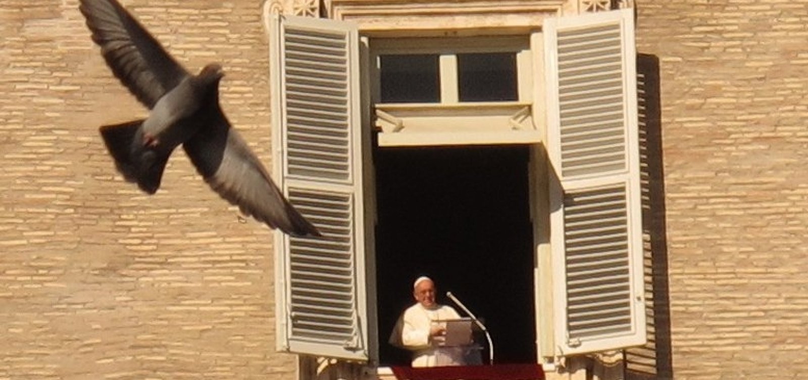 [Papa Francisco anuncia que receberá vacina contra Covid-19 na próxima semana e critica negacionistas]