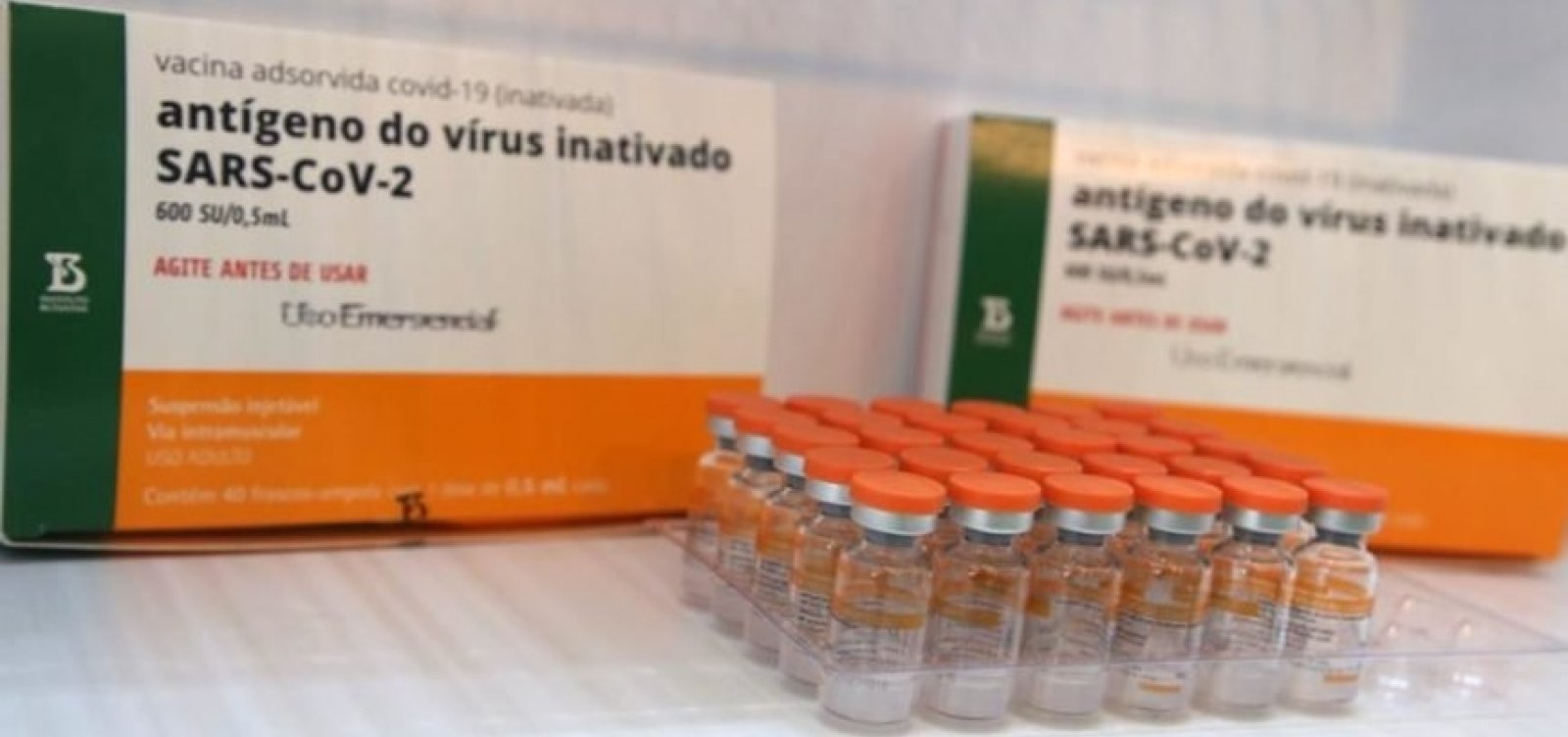 [Anvisa aprova uso emergencial do novo lote da vacina Coronavac ]