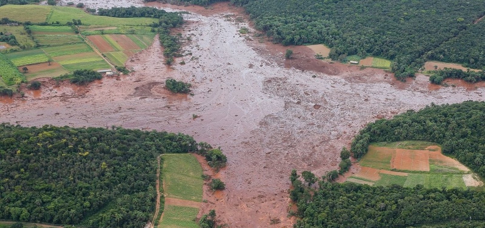 [Após assinatura de acordo, atingidos pela tragédia de Brumadinho protestam ]