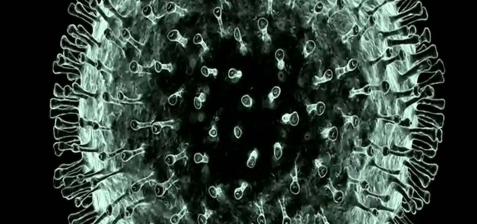 [Teoria de que coronavírus teria escapado de laboratório em Wuhan é pouco provável, diz OMS]