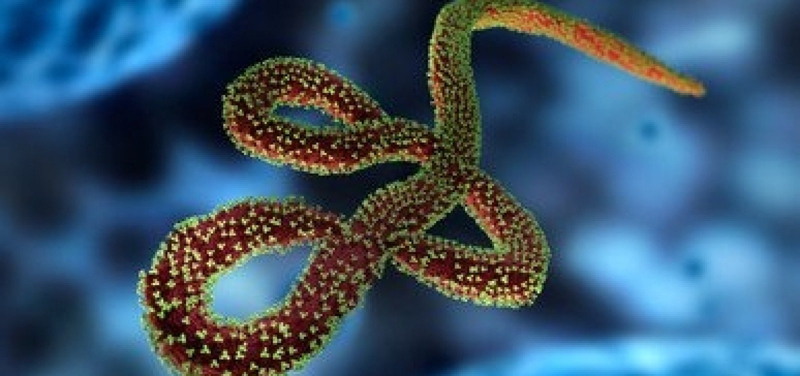 [Novo caso do vírus ebola mata uma pessoa no Congo]