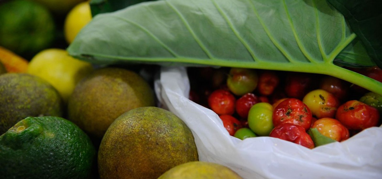 [ONU: 931 milhões de toneladas de alimentos foram para o lixo em 2019 ]