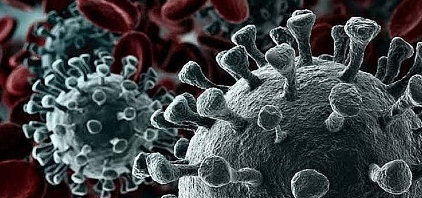 [Identificada no Brasil, variante britânica do coronavírus está associada a risco de morte 61% maior, aponta estudo]