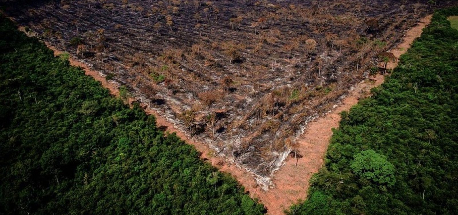 [Em março, desmatamento na Amazônia bate recorde e é o maior dos últimos seis anos ]