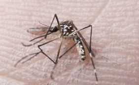 Vacina contra o vírus Zika pode [Vacina contra o vírus Zika pode