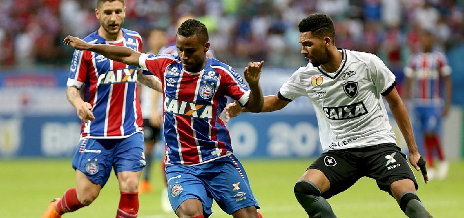 [Conmebol divulga datas dos jogos entre Bahia e Botafogo na Sul-Americana]