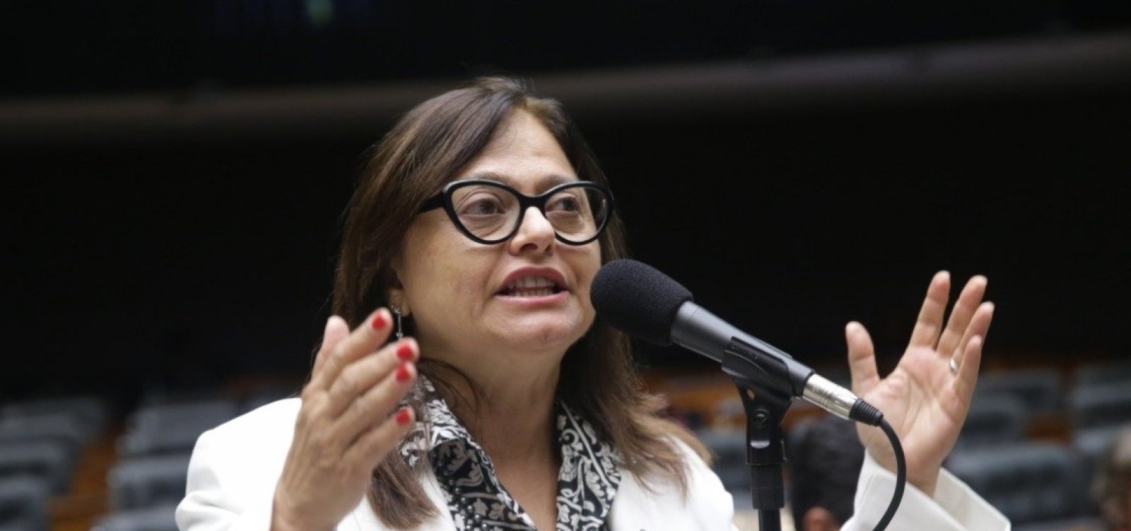 [Alice Portugal avalia que PCdoB teve ‘desempenho excelente’ nas eleições]