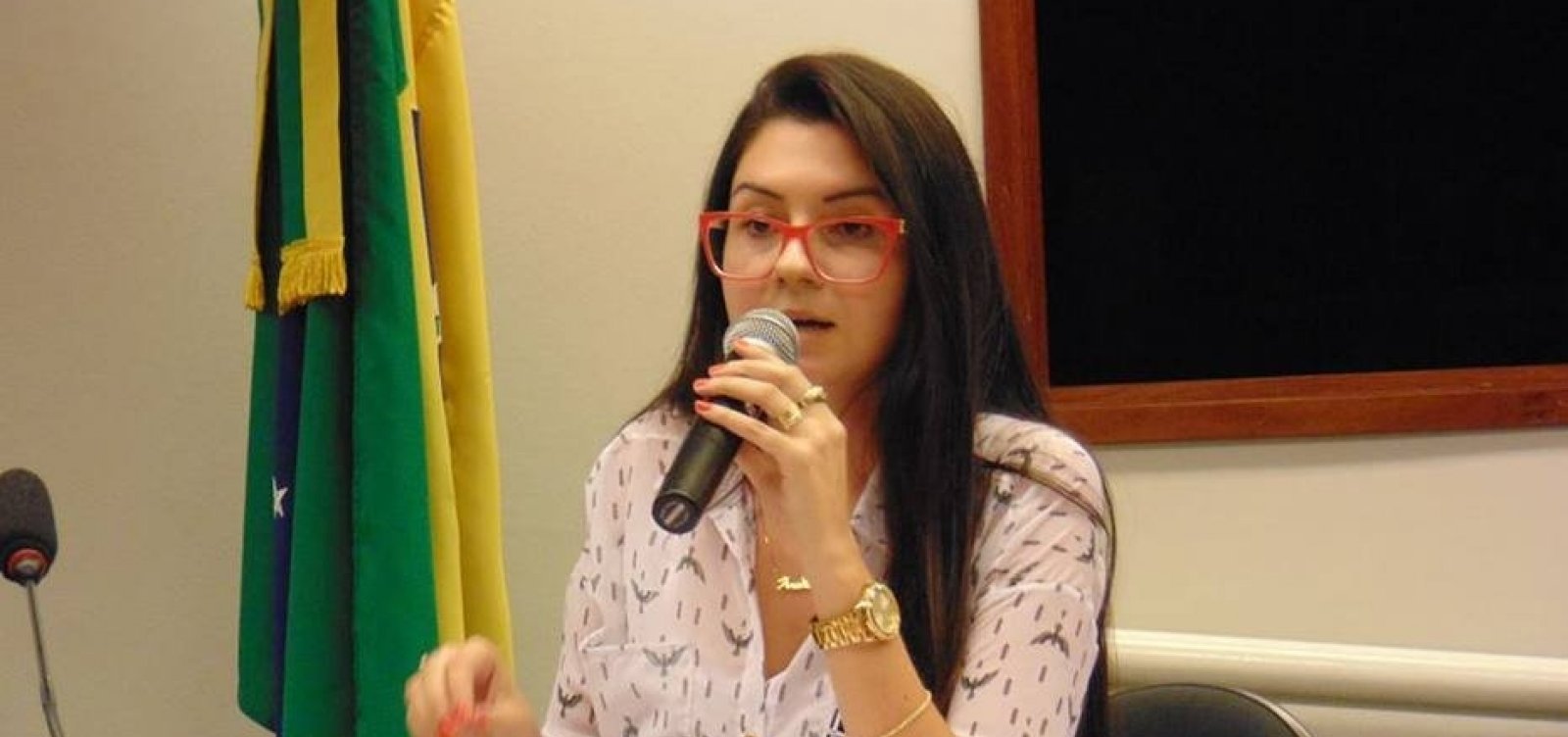 [Deputada aliada de Bolsonaro cria canal anônimo de denúncia contra professores]