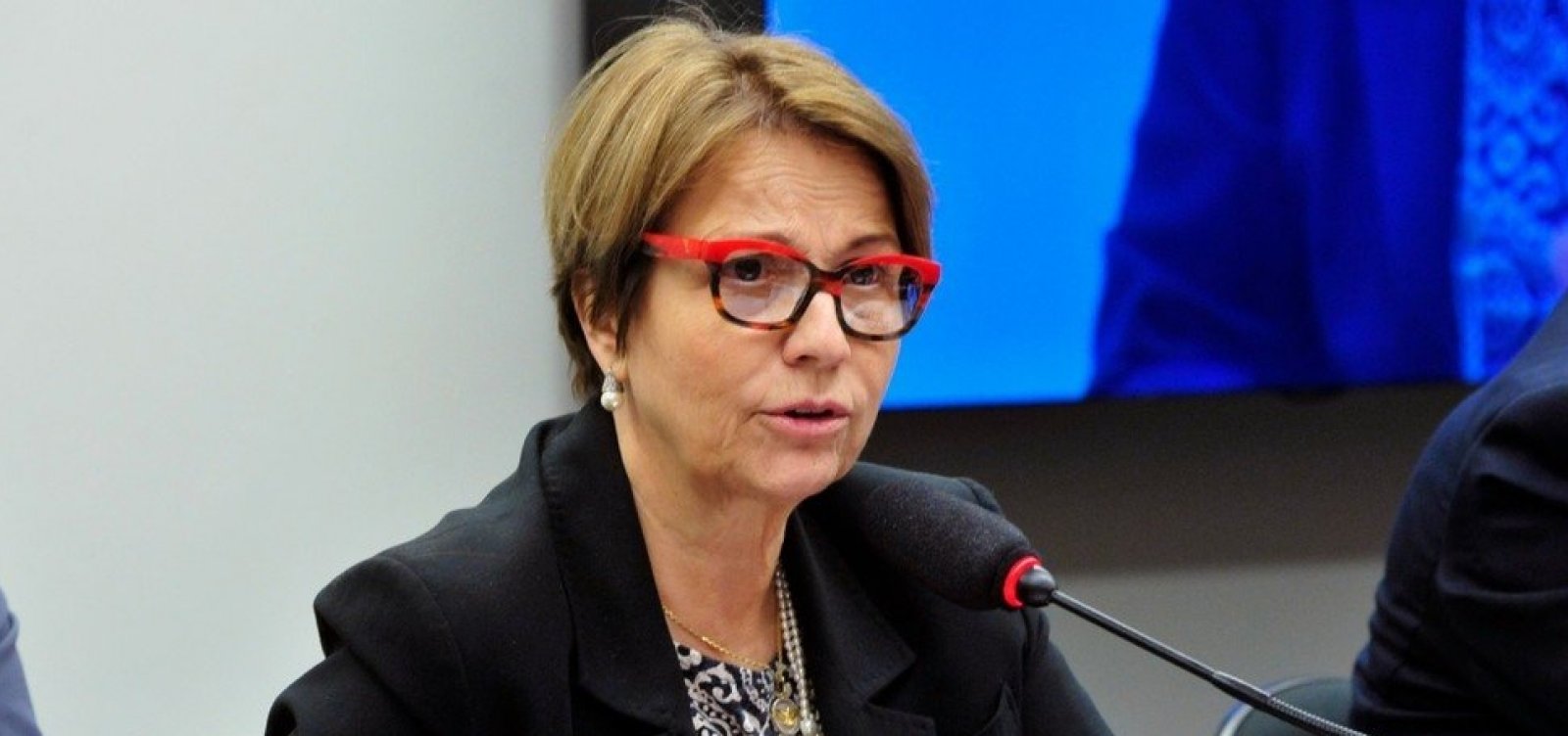 [Bolsonaro indica nomeação de ministra da Agricultura em seu governo]
