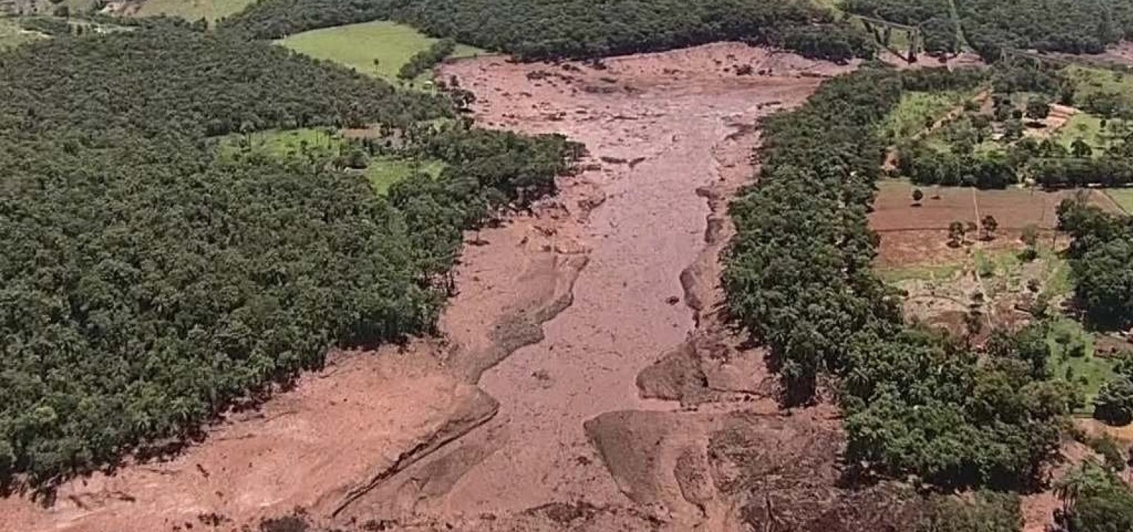 [Número de mortos em Brumadinho sobe para 110, diz Defesa Civil]