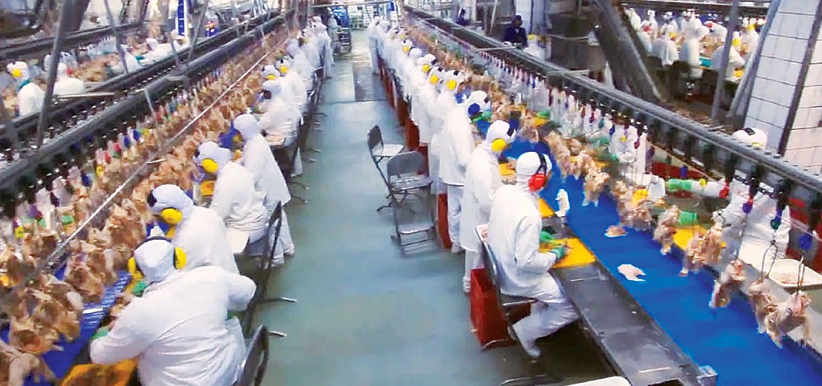 [BRF anuncia recolhimento toneladas de frango Perdigão por suspeita de salmonela]