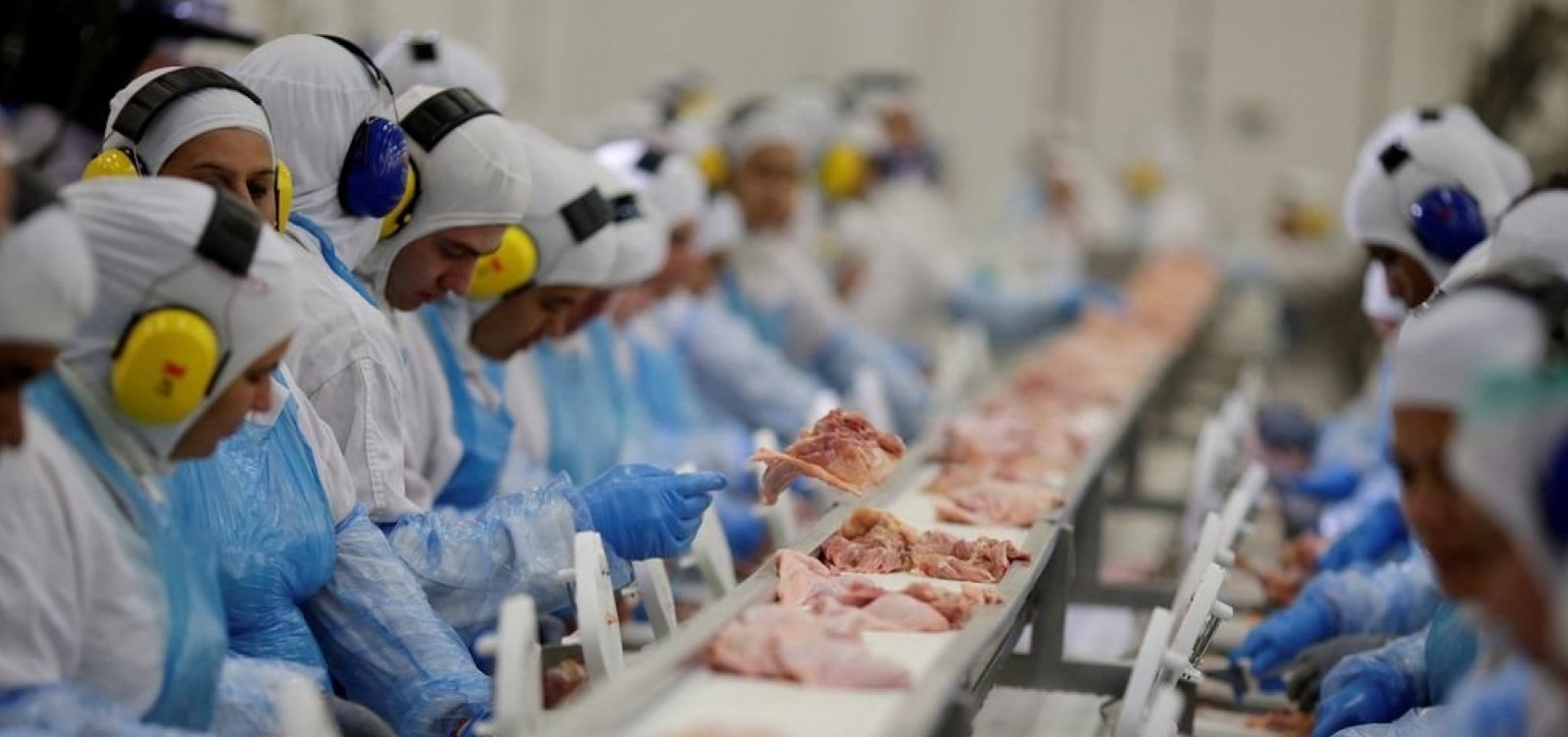 [Anvisa proíbe venda de lotes de frango da Perdigão]