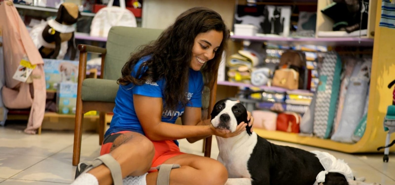 [ONG realiza feira de adoção de animais com necessidades especiais no domingo]