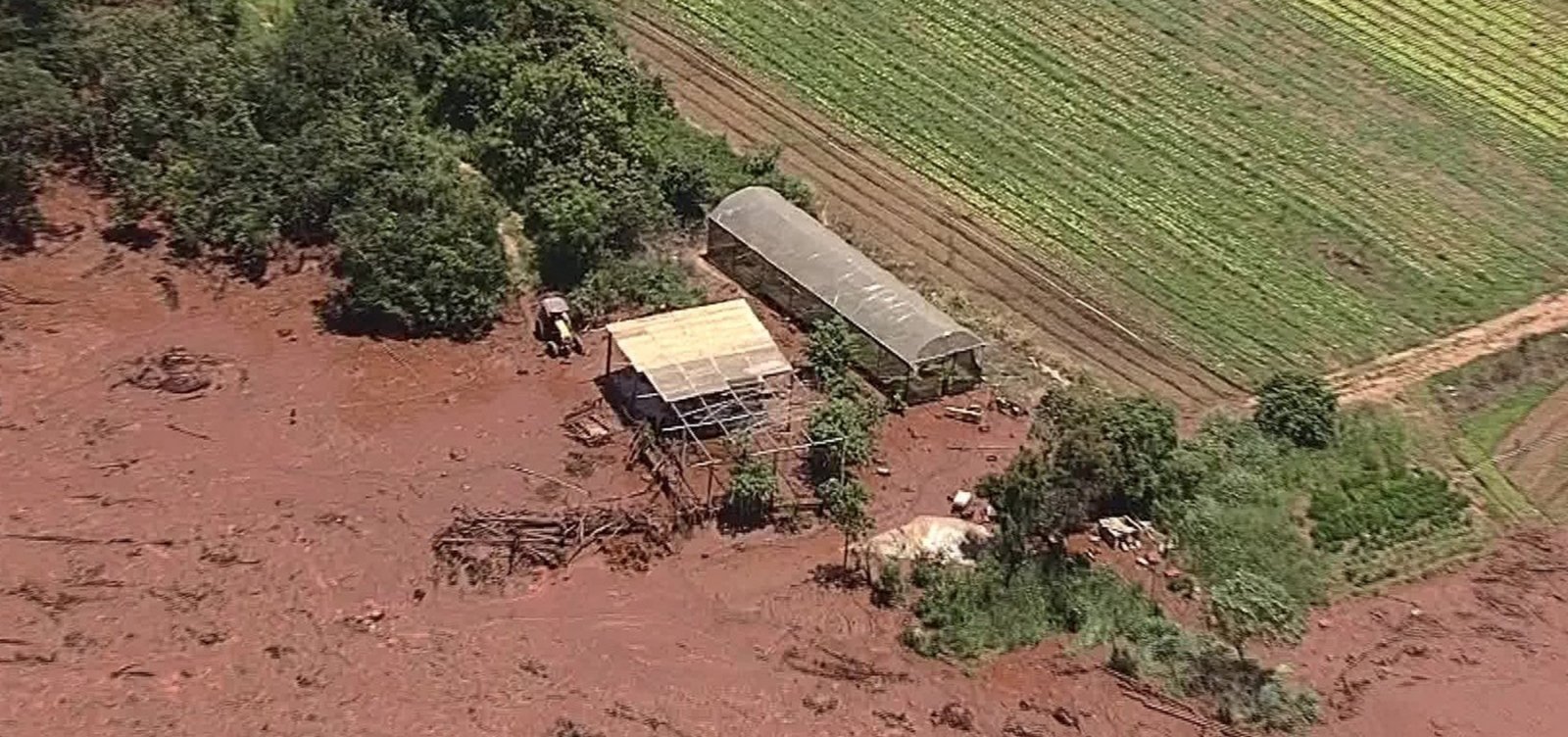 [NÃºmero de mortos em Brumadinho sobe para 169, diz Defesa Civil de MG]