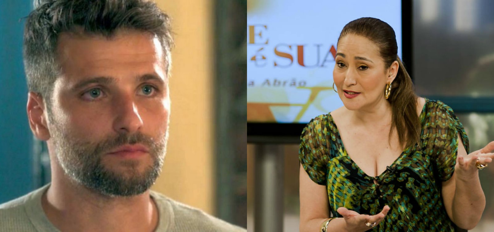 [Bruno Gagliasso processa programa de Sônia Abrão por fakenews]