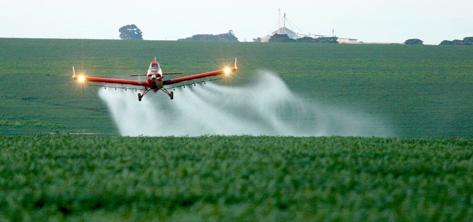 [Em uma década, Brasil registra 40 mil casos de intoxicação por agrotóxicos]