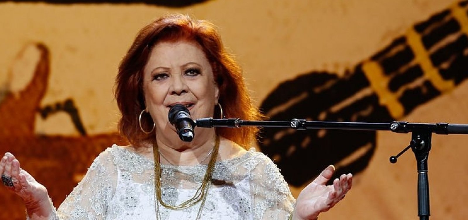 Resultado de imagem para foto da cantora beth carvalho