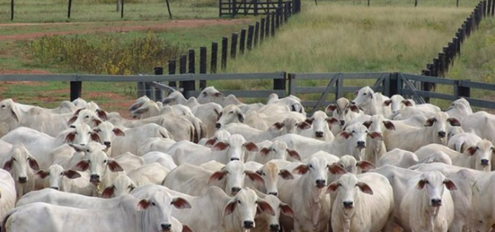 [Agropecuária e indústria de transformação lideram criação de empregos em abril ]