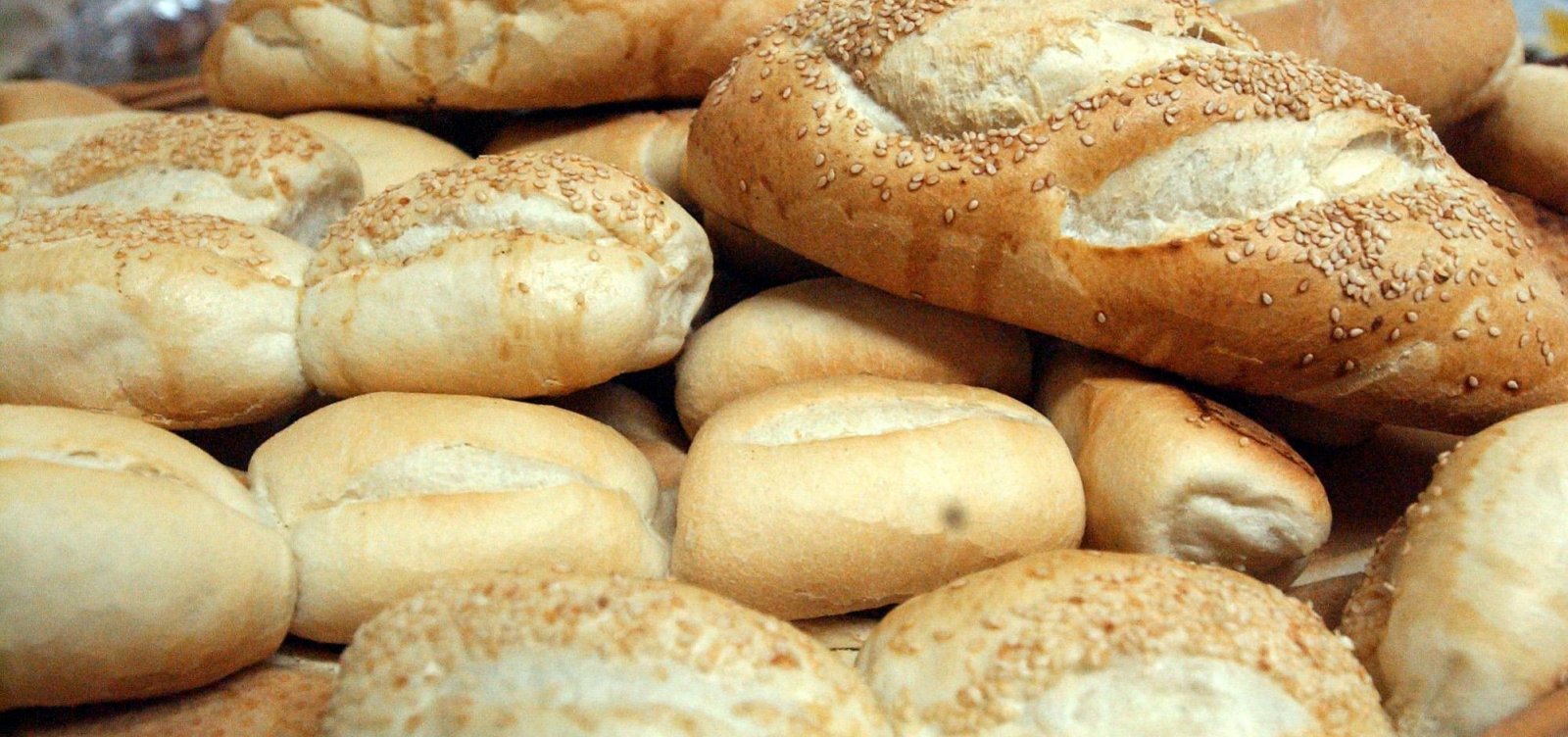 [SineBahia oferece cursos gratuitos de padeiro e aÃ§ougueiro]