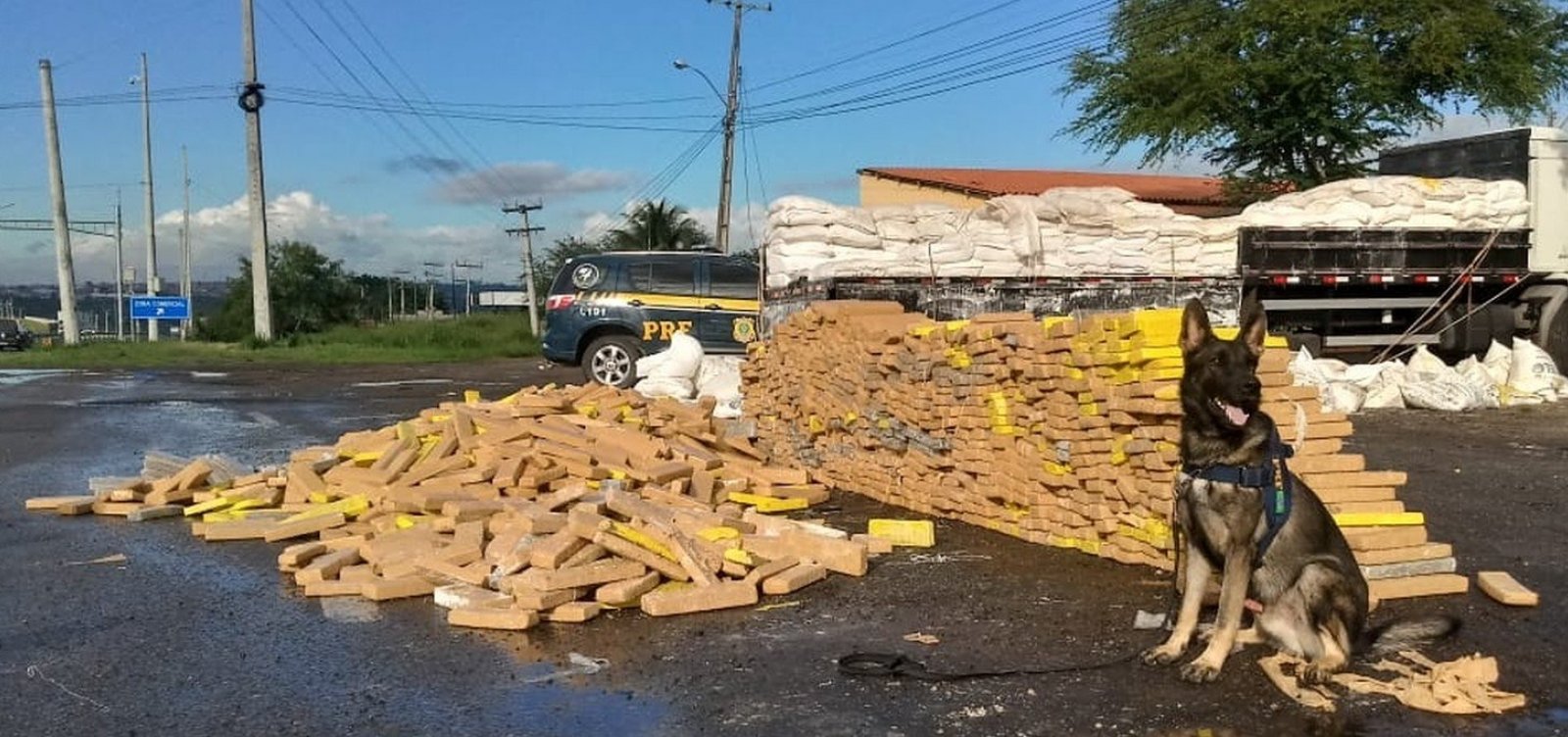 [Caminhoneiro é detido com grande quantidade de maconha em Feira de Santana]