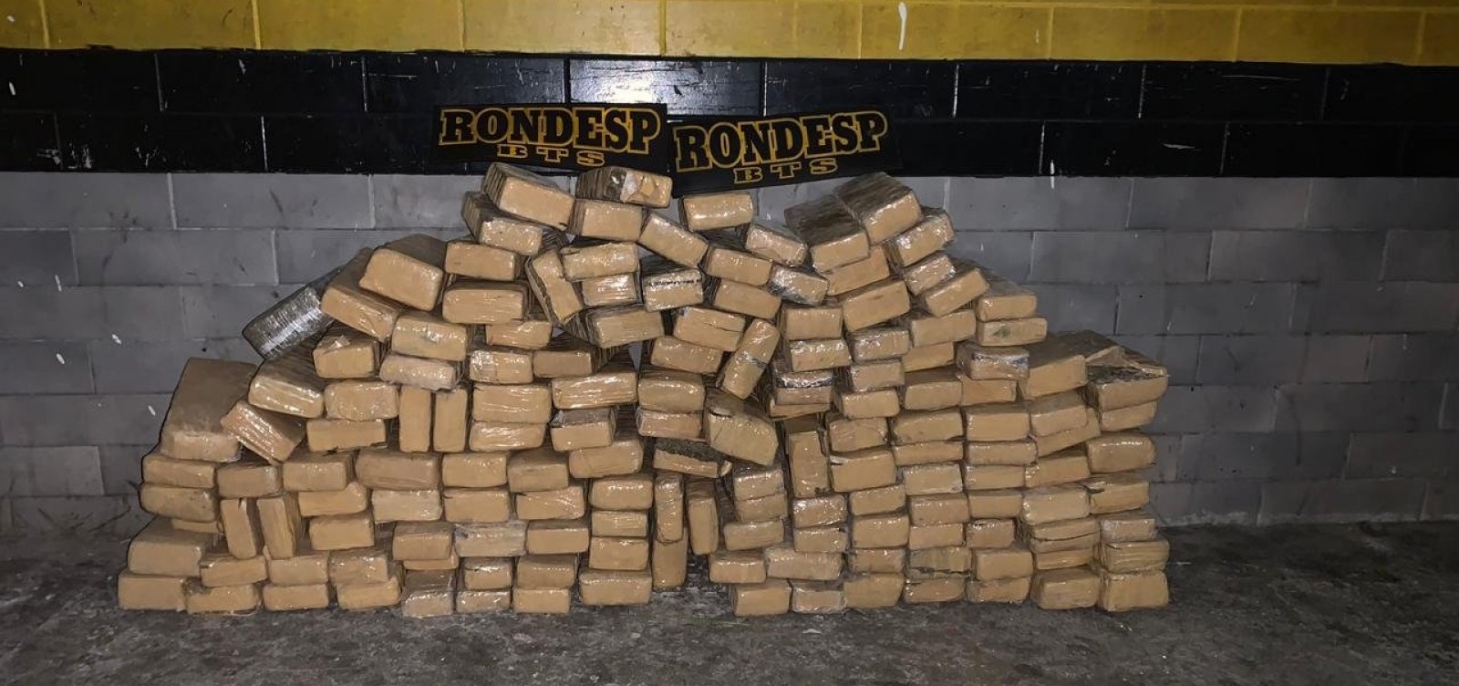 [PolÃ­cia encontra 150 kg de maconha dentro de matagal em SimÃµes Filho]