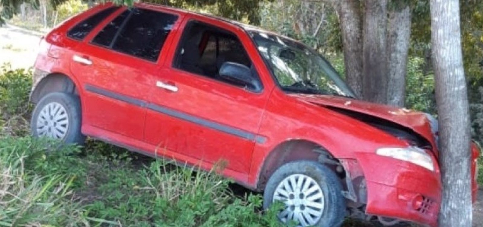 [Motorista embriagado foge da polÃ­cia, bate em Ã¡rvore e Ã© preso no extremo sulÂ ]