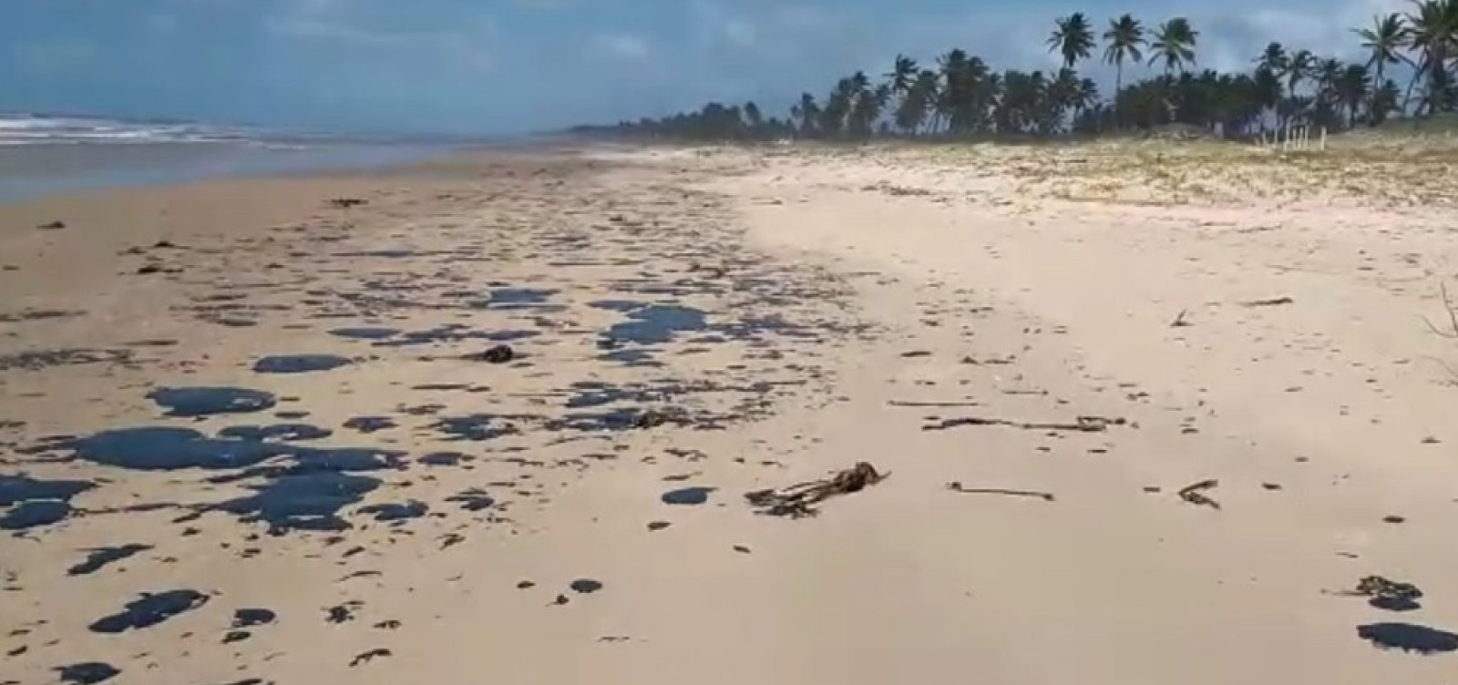 [Bahia registra quinta cidade atingida por óleo]