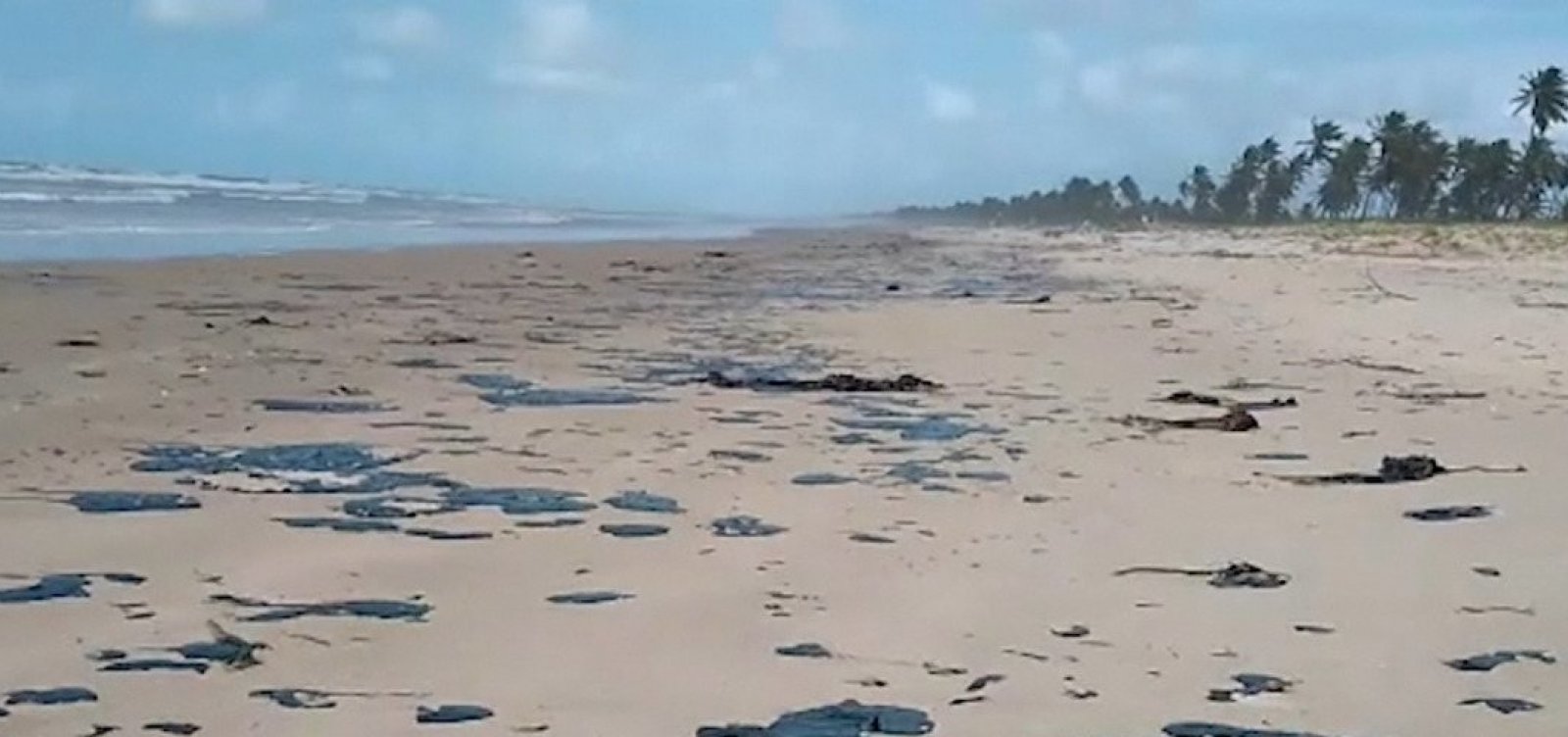 [Mancha de óleo deve chegar a Salvador nesta quinta, diz oceanógrafo]