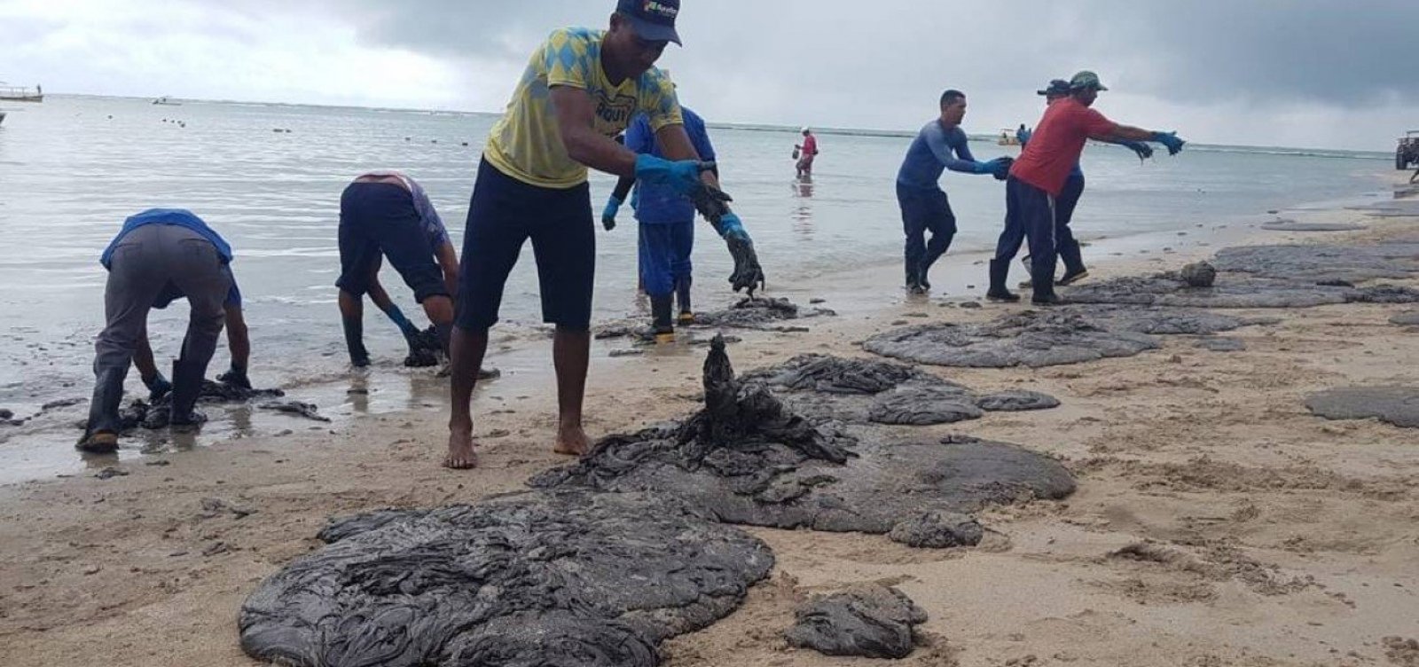 [Manchas de óleo reaparecem em Pernambuco e devem chegar a Porto de Galinhas]