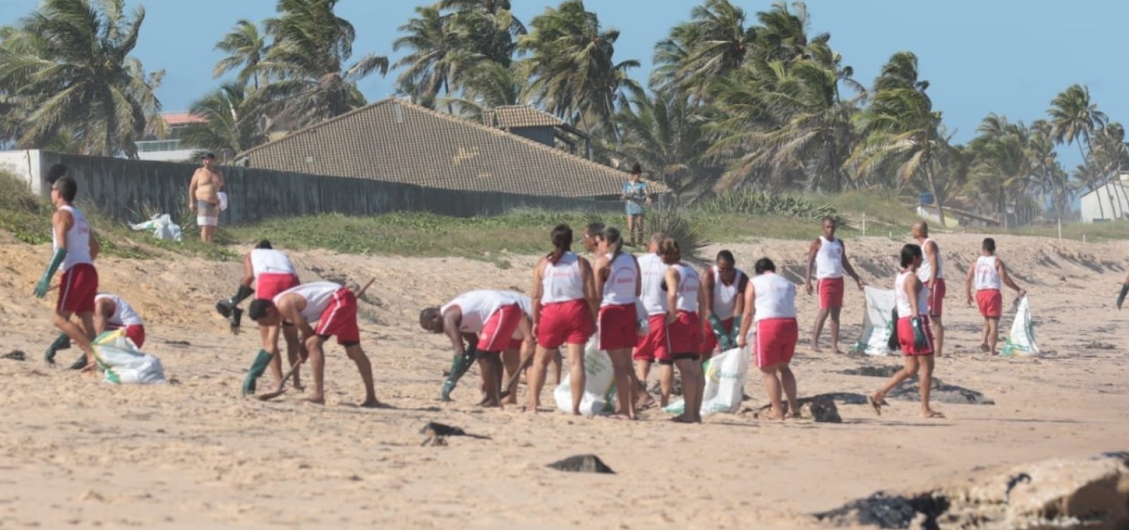 [Cerca de mil toneladas de óleo foram recolhidos nas praias do Nordeste, diz governo]