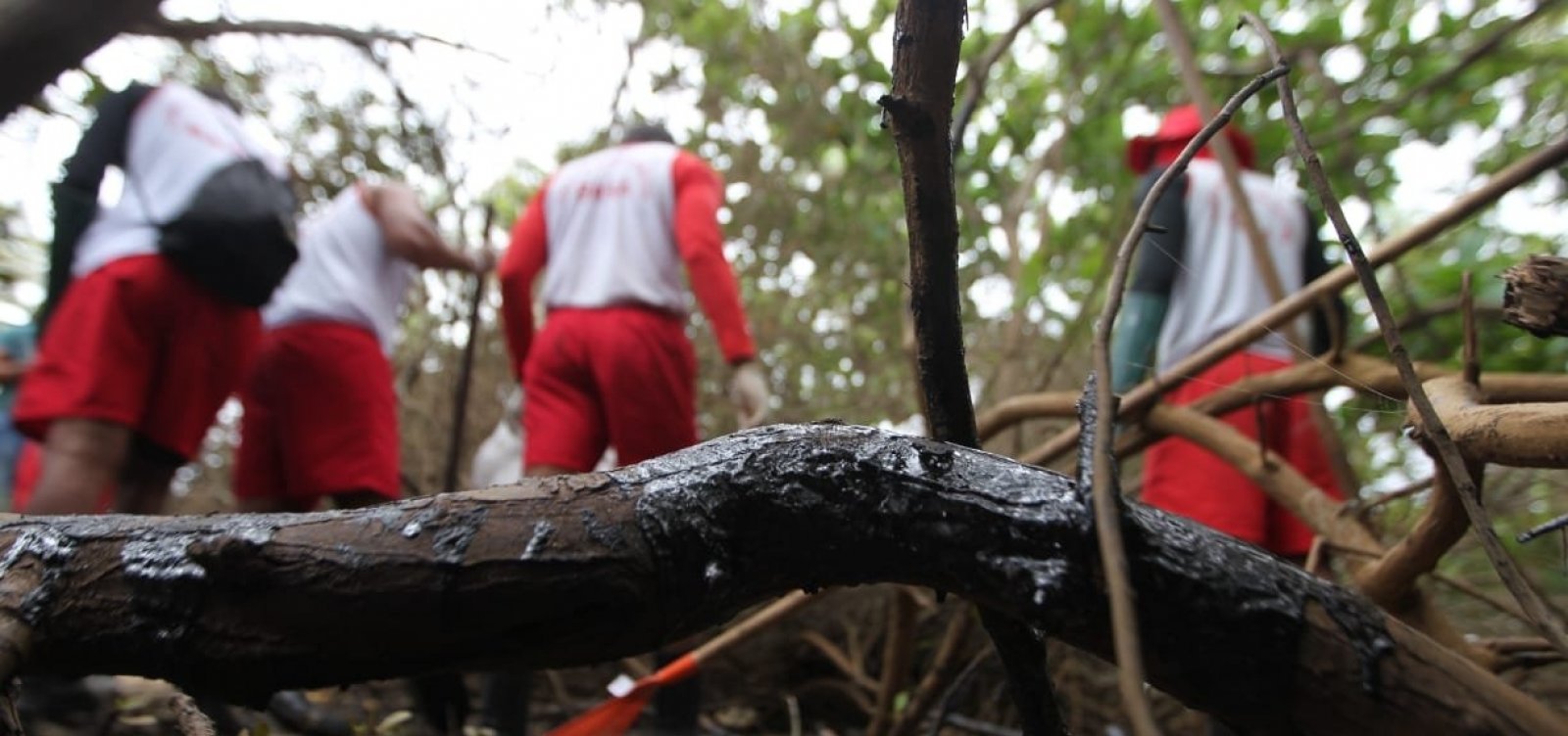 [Bombeiros recolhem três toneladas de óleo por dia nas praias do Litoral Norte]