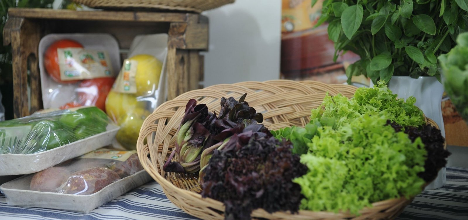 [Promotora que instituiu cardápio vegano em escolas diz que alunos devem comer carne 'com próprio dinheiro']