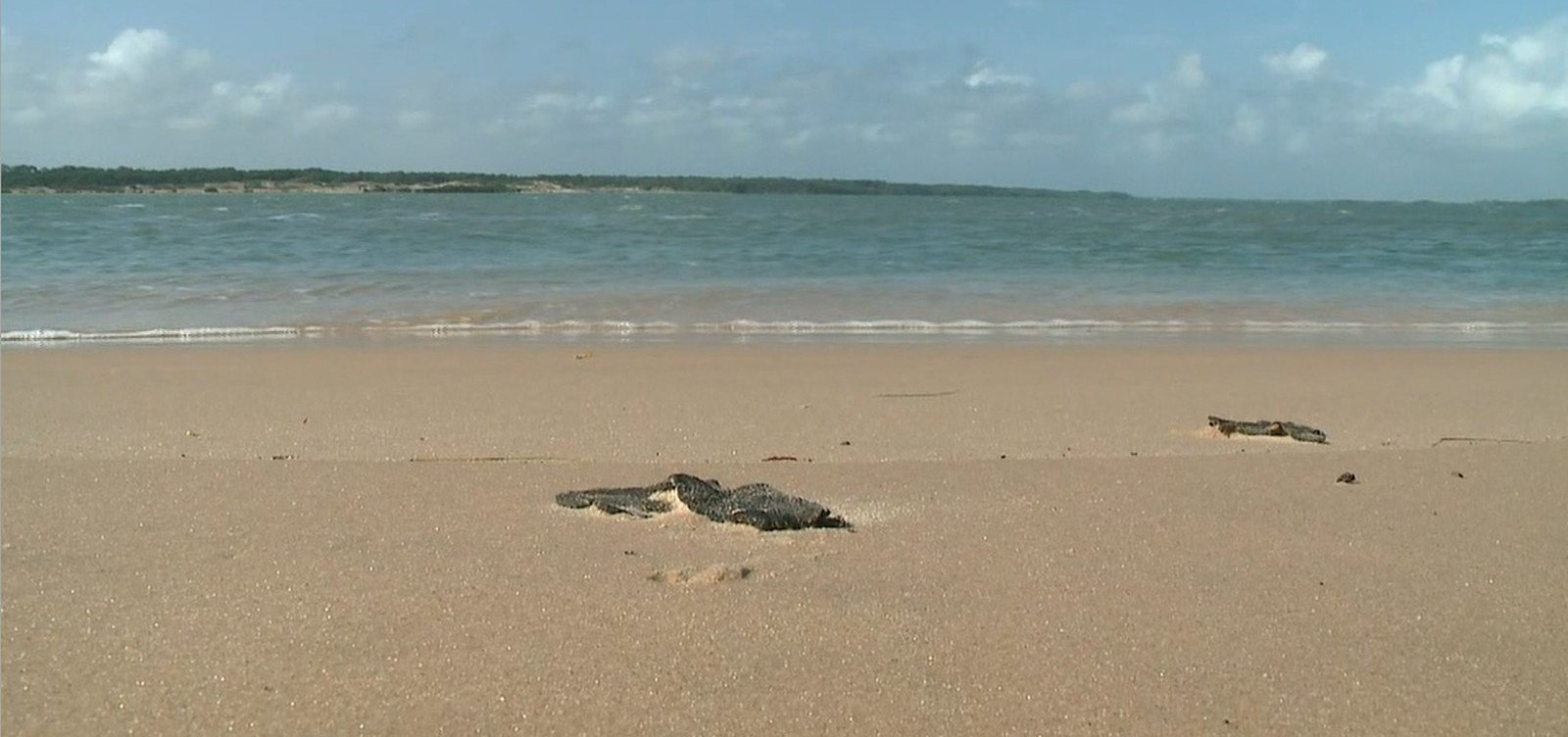 [Duas praias baianas ainda têm resíduos de óleo, diz Marinha]