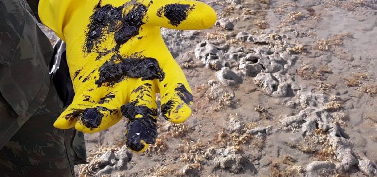 [ Tr&ecirc;s cidades do litoral seguem com fragmentos de &oacute;leo na Bahia, diz boletim]