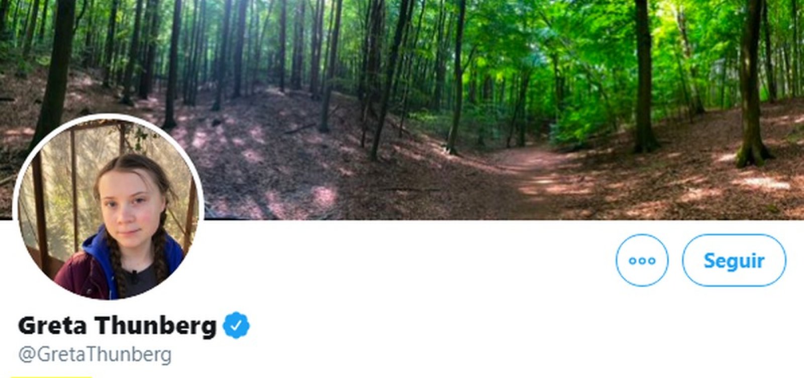 [Após declaração de Bolsonaro, ativista Greta Thunberg muda descrição no Twitter para 'pirralha']