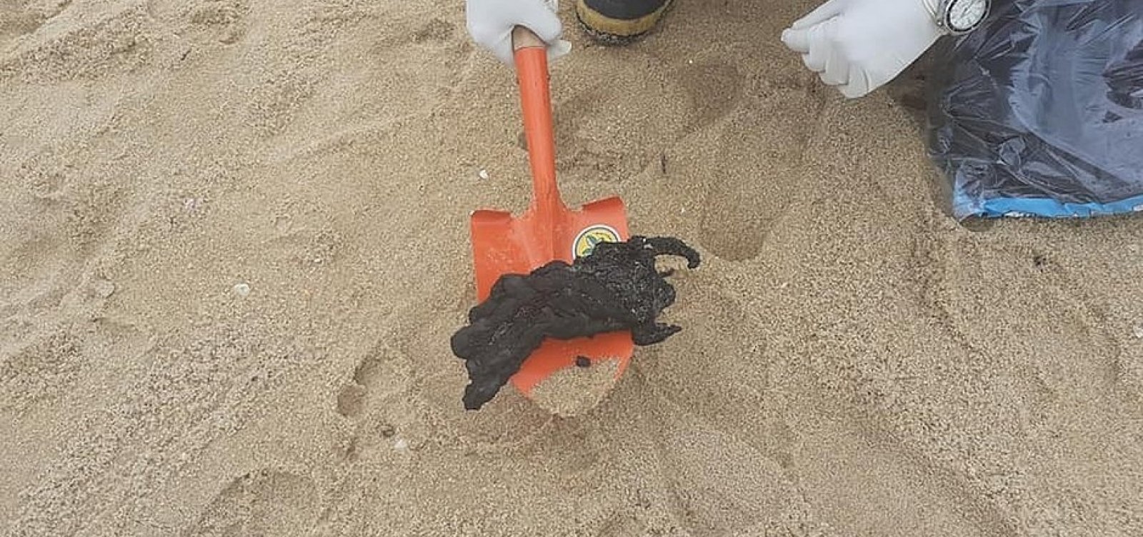 [Óleo que atinge litoral brasileiro teria vindo do mar da África, aponta estudo do Inpe]