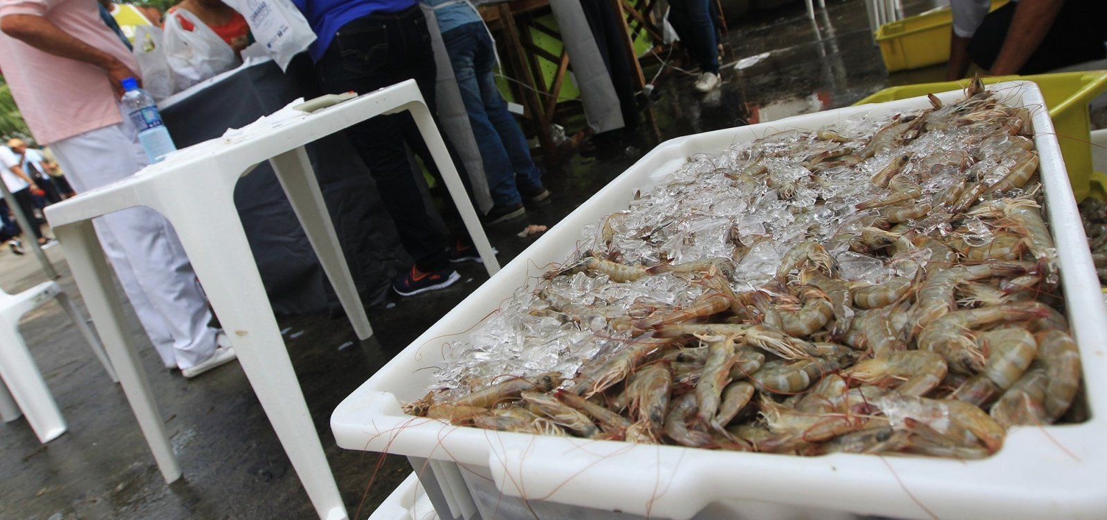 [Caixa começa a pagar auxílio emergencial a pescadores afetados por óleo]