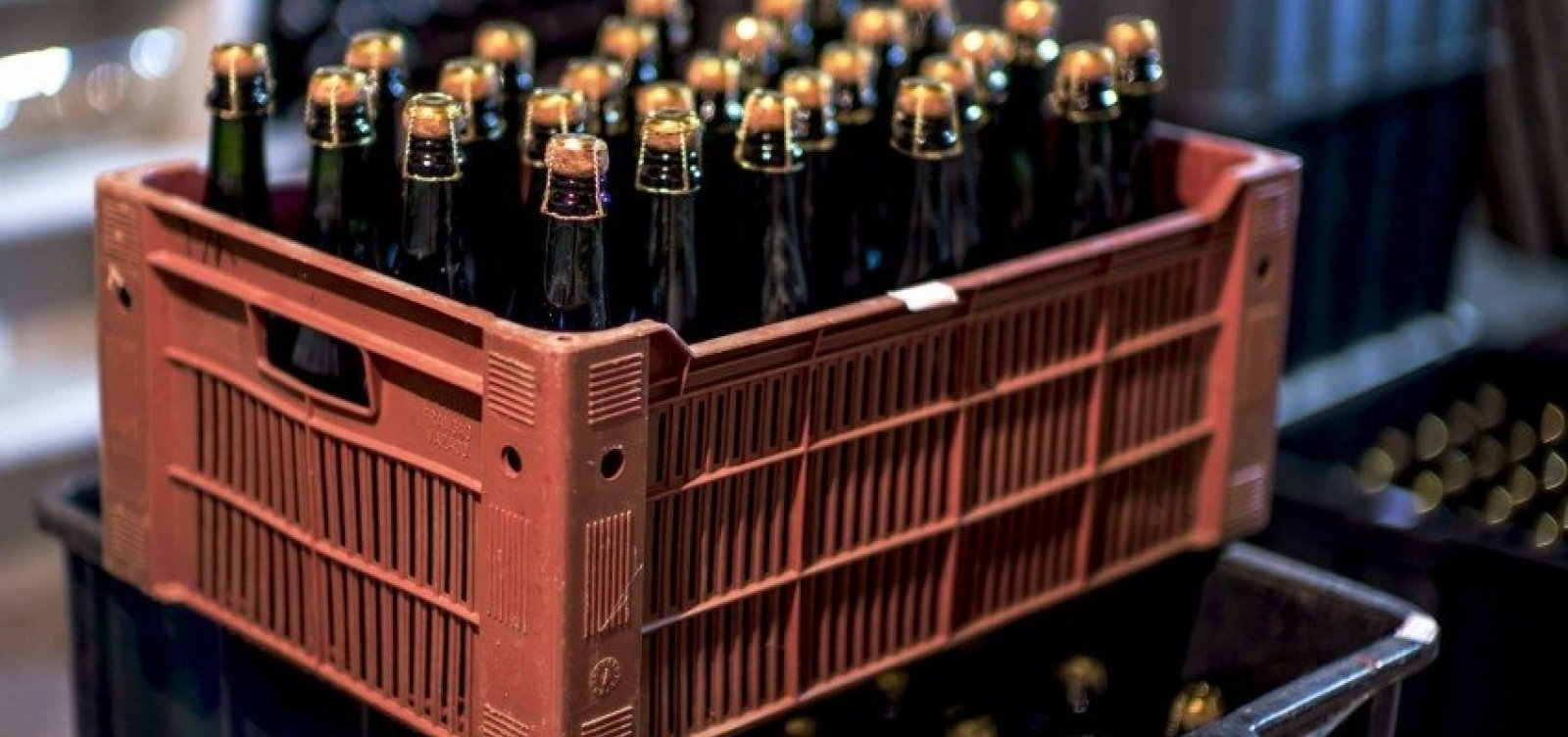 [Governo Bolsonaro deve editar medida de inspeção sobre vinhos e dificultar importação do produto]