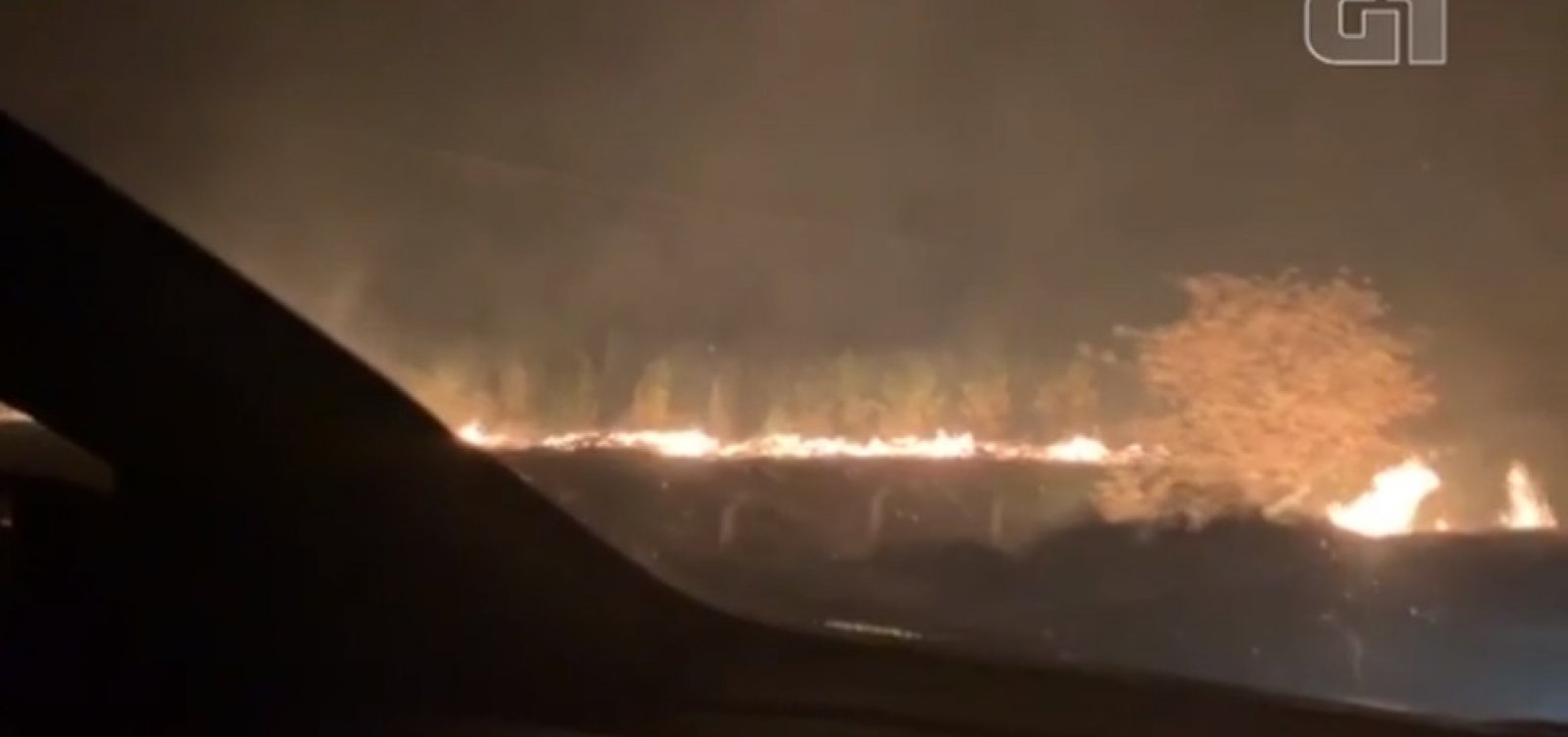 [Incêndio atinge plantação de eucaliptos em Barra do Choça, na Bahia]