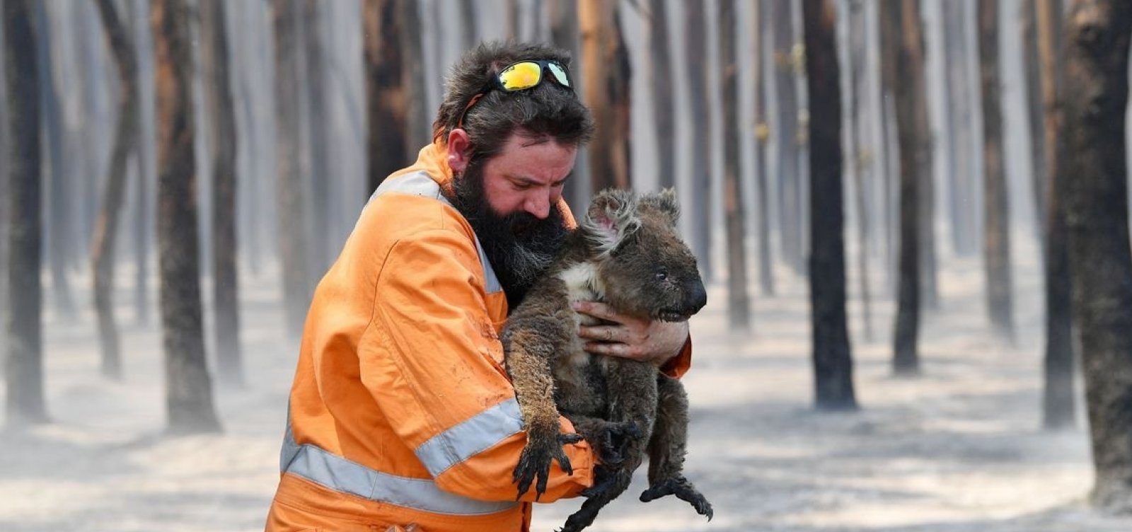 [Nasa divulga imagens da destruição de um terço da Ilha Kangaroo, na Austrália]