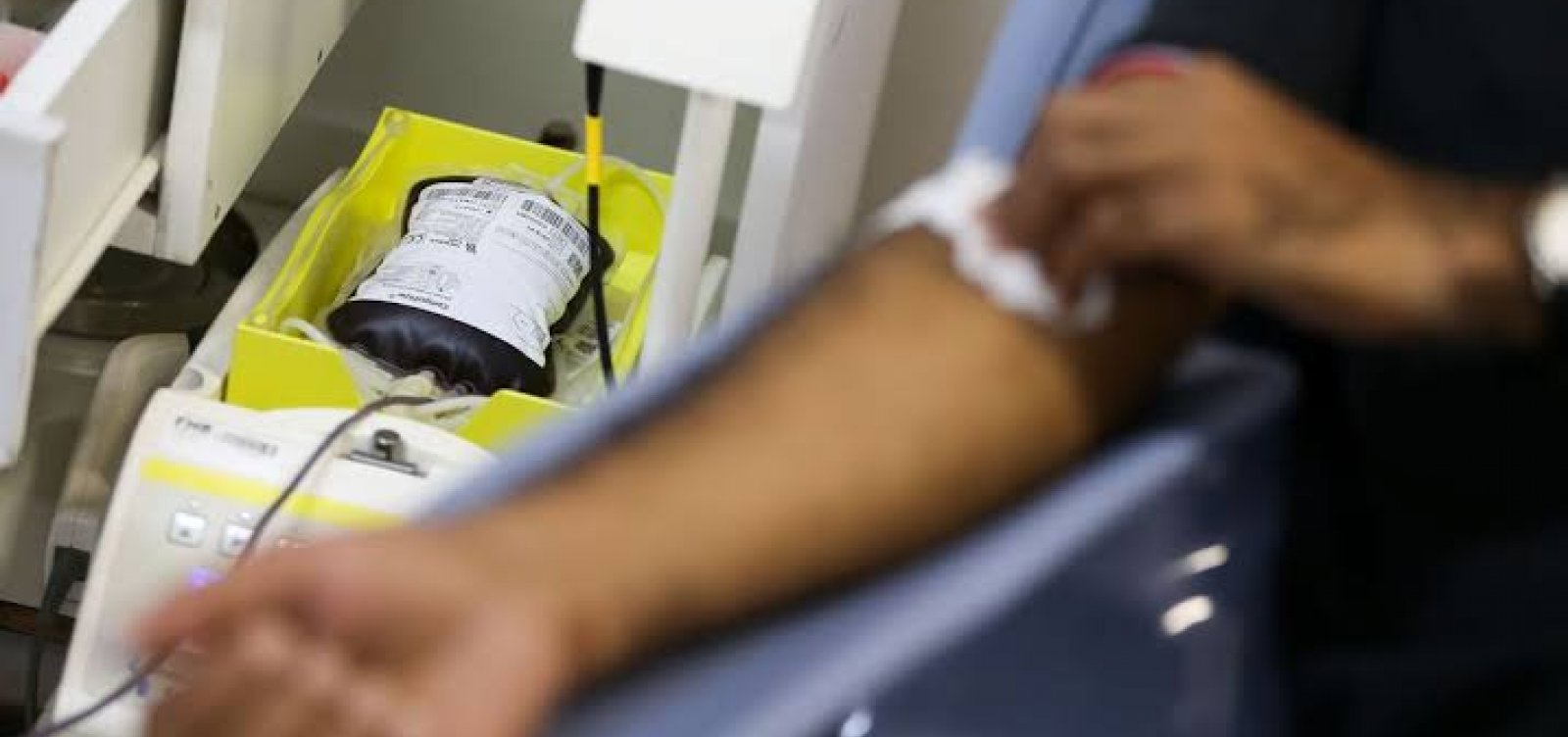 [Anvisa vai contra decisão do STF e mantém restrição à doação de sangue por homens gays]