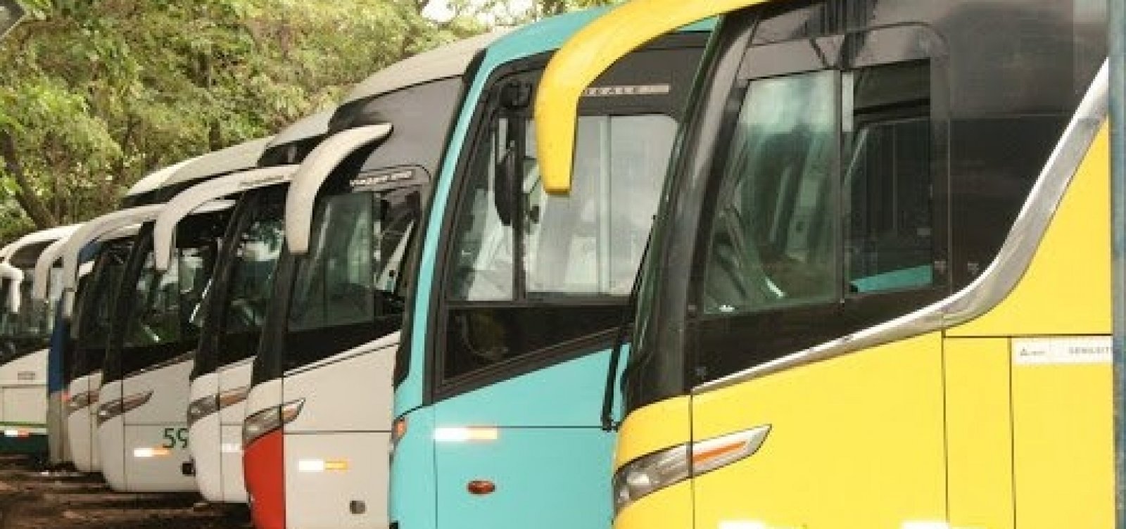 [Bahia tem mais 11 cidades com transporte suspenso; total chega a 366]