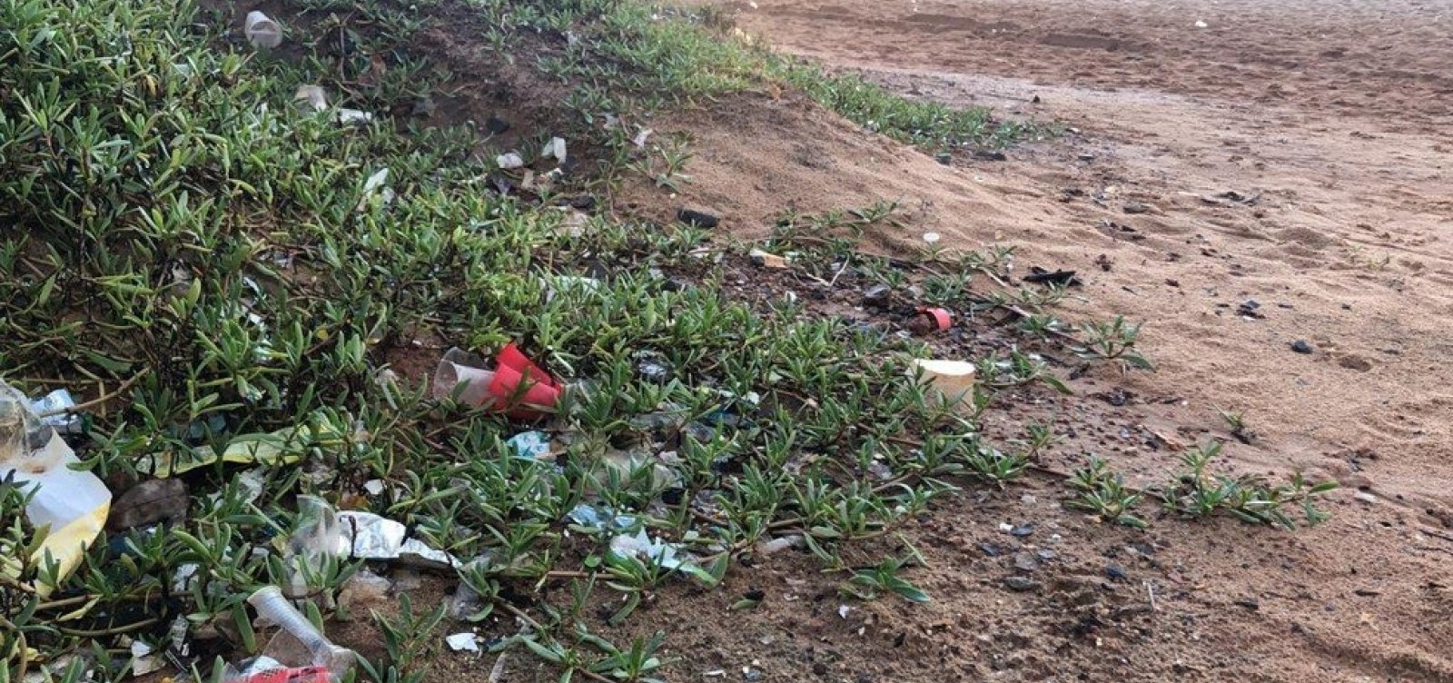 [Praia interditada em Salvador amanhece repleta de lixo na areia]