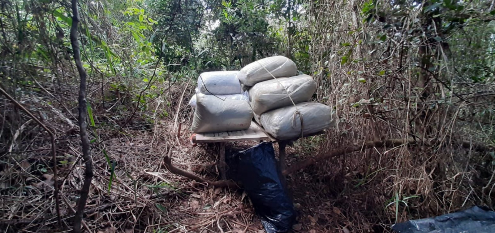 [Meia tonelada de maconha &eacute; encontrada em cidade do Rec&ocirc;ncavo]